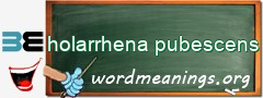 WordMeaning blackboard for holarrhena pubescens